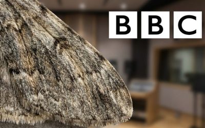 Our discovery, as seen on the BBC!