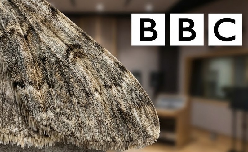 Our discovery, as seen on the BBC!